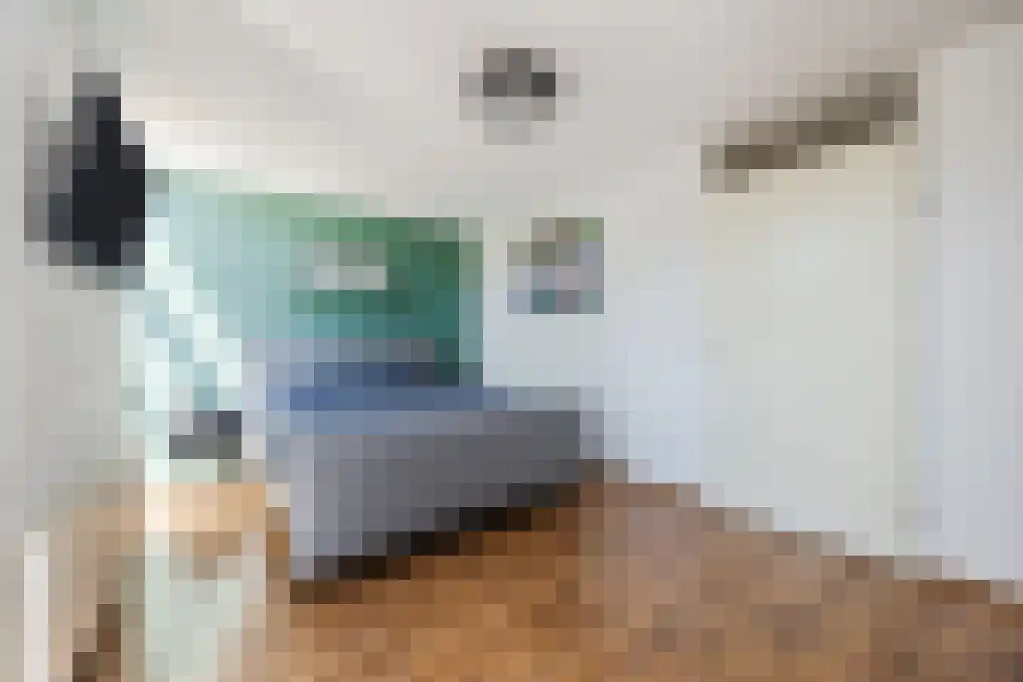 Klokjesbloem 7 Papendrecht thumbnail 22