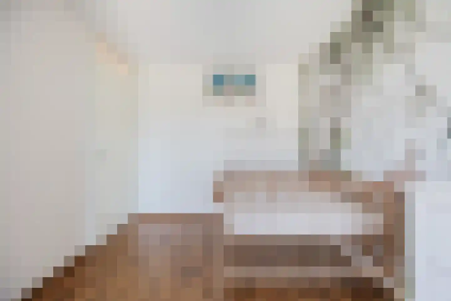 Klokjesbloem 7 Papendrecht thumbnail 23