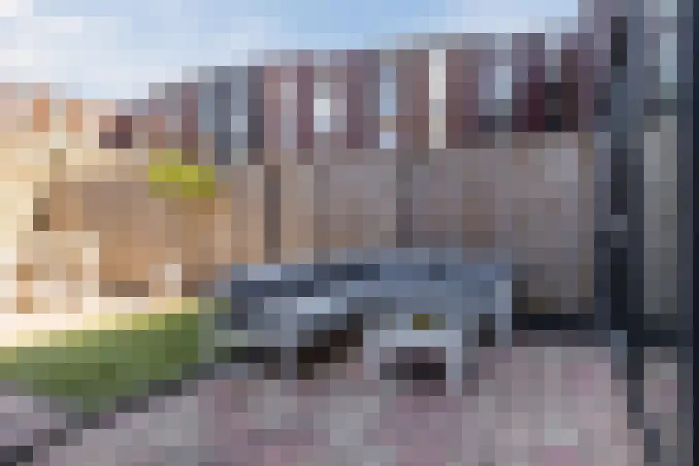 Klokjesbloem 7 Papendrecht thumbnail 33