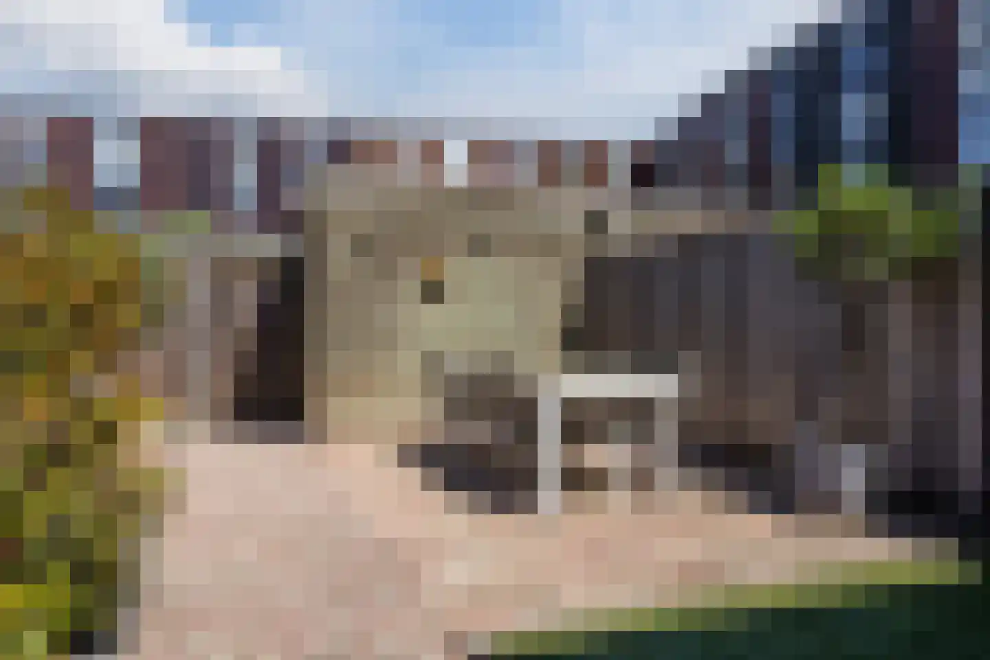 Klokjesbloem 7 Papendrecht thumbnail 36