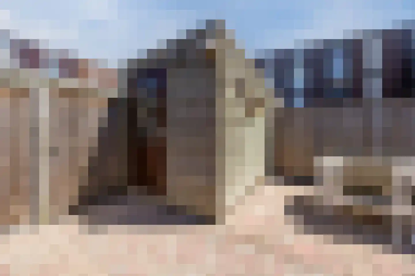Klokjesbloem 7 Papendrecht thumbnail 37