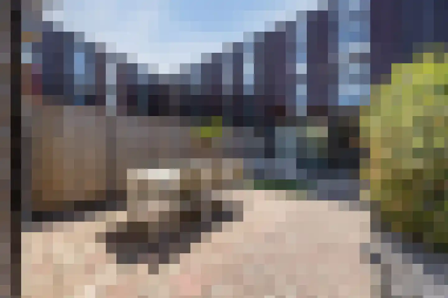 Klokjesbloem 7 Papendrecht thumbnail 38