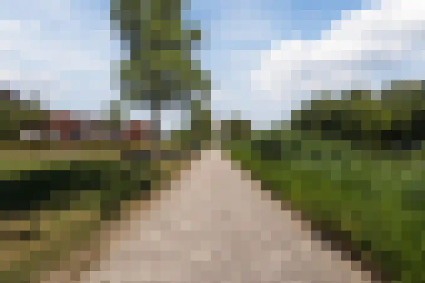 Klokjesbloem 7 Papendrecht thumbnail 39
