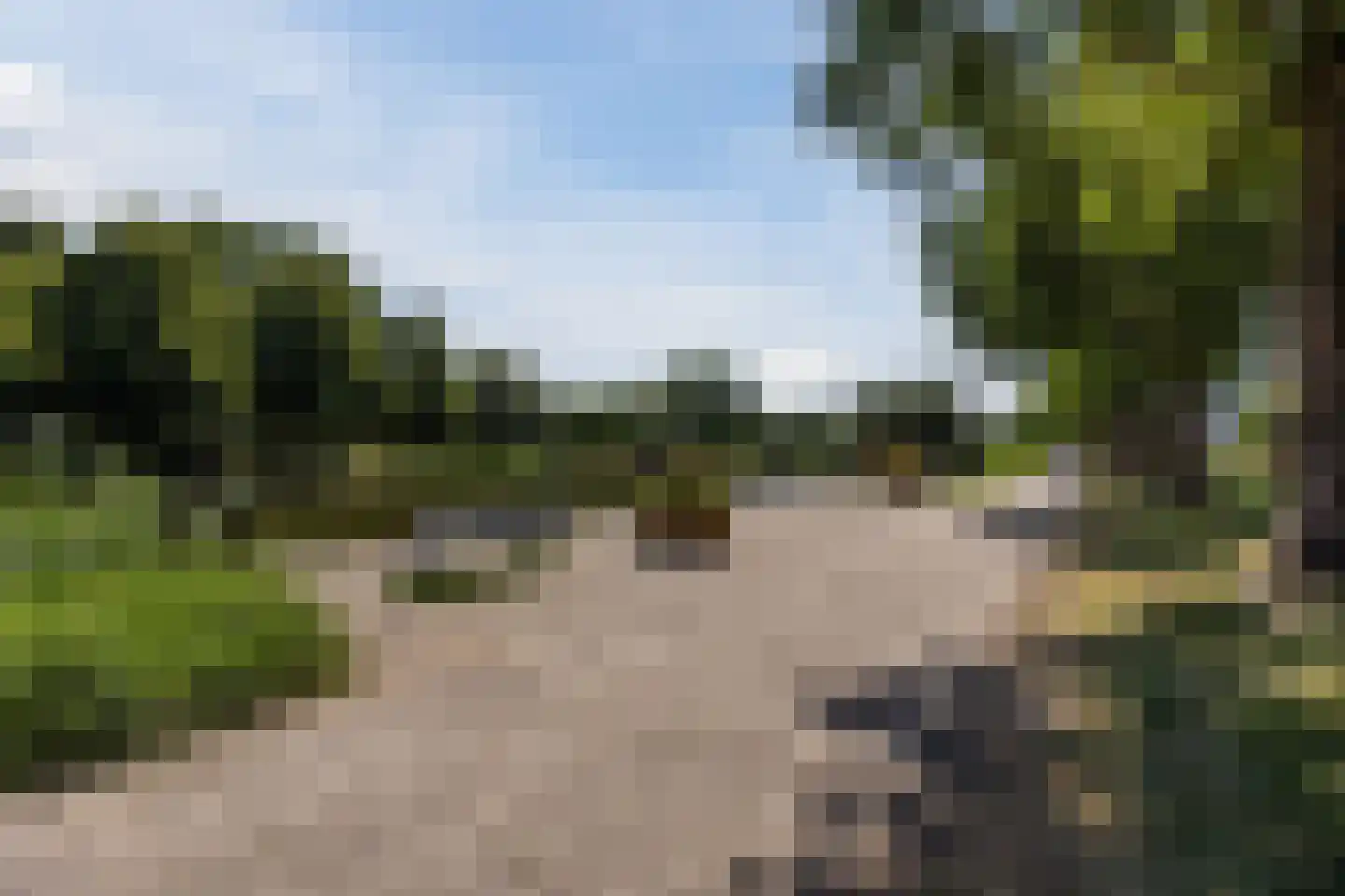 Klokjesbloem 7 Papendrecht thumbnail 40