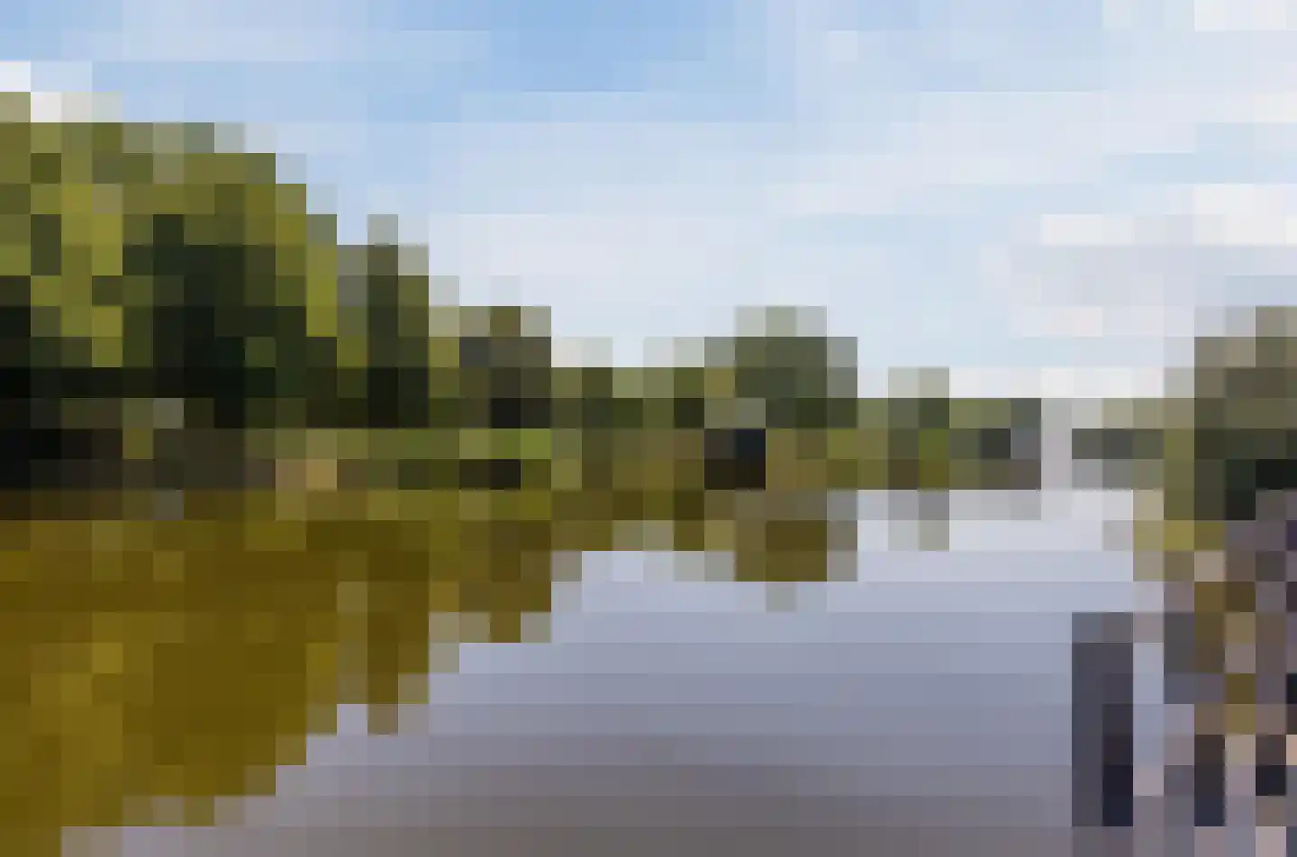 Klokjesbloem 7 Papendrecht thumbnail 41