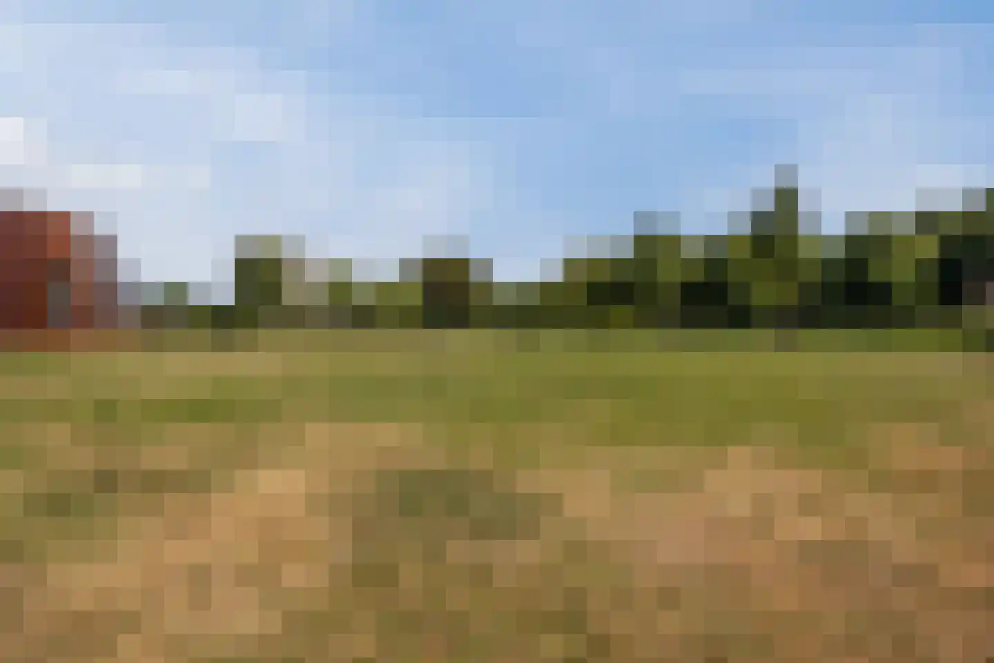 Klokjesbloem 7 Papendrecht thumbnail 42