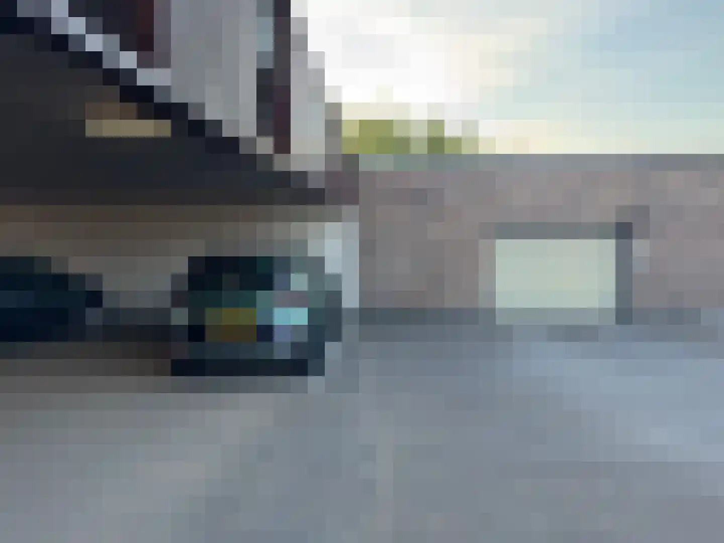 Klokjesbloem 7 Papendrecht thumbnail 45