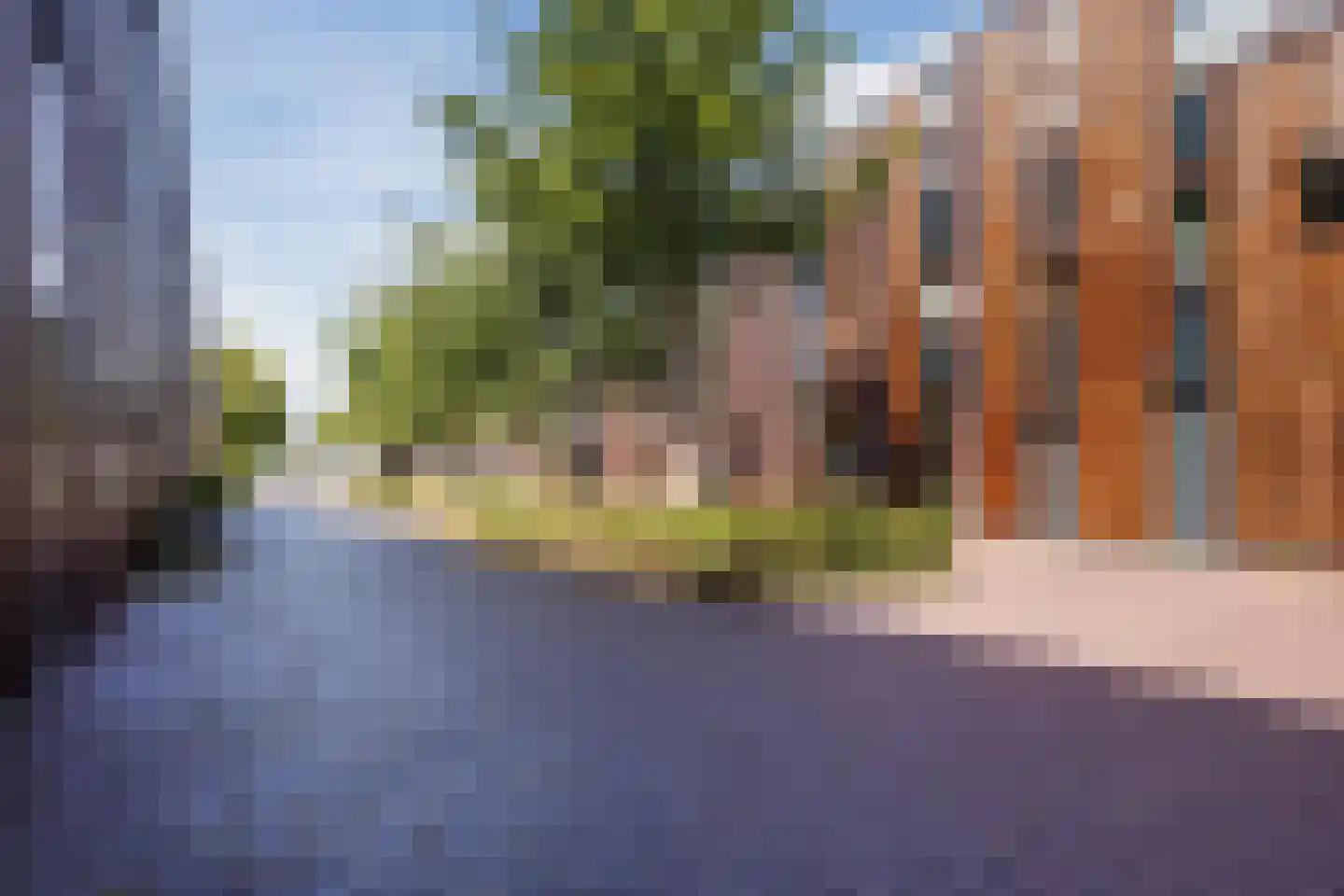 Klokjesbloem 7 Papendrecht thumbnail 6