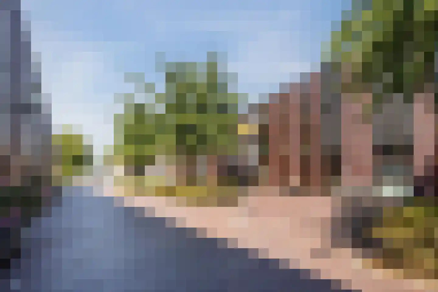 Klokjesbloem 7 Papendrecht thumbnail 7