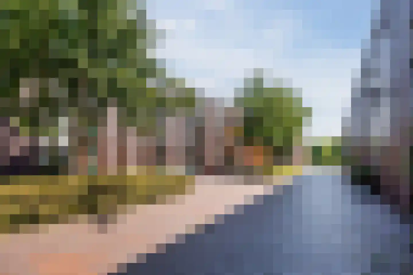 Klokjesbloem 7 Papendrecht thumbnail 8