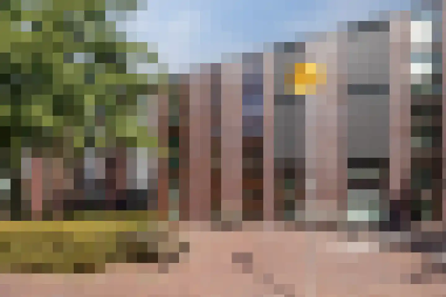 Klokjesbloem 7 Papendrecht thumbnail 9