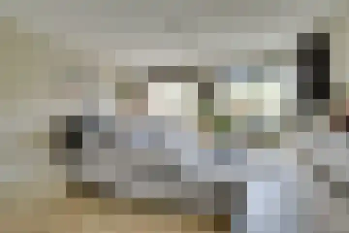 Klokjesbloemlaan 11 Vleuten thumbnail 11