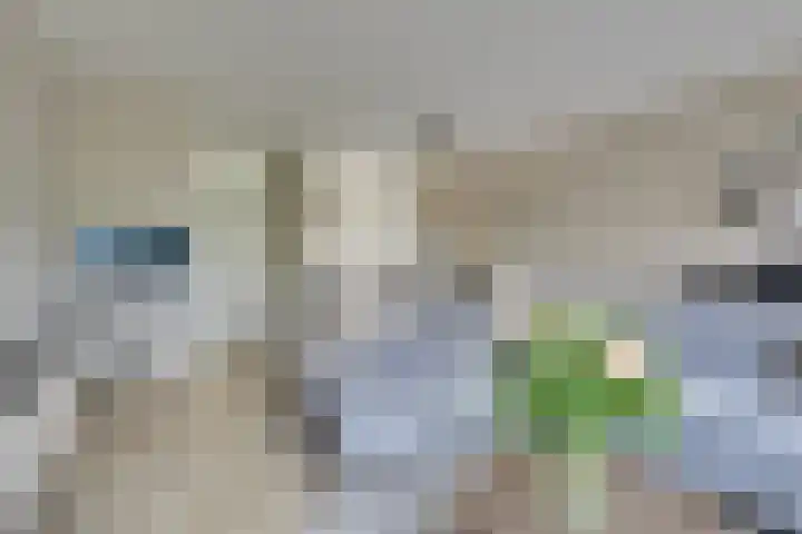 Klokjesbloemlaan 11 Vleuten thumbnail 12