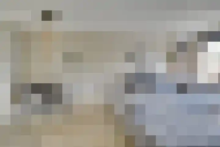 Klokjesbloemlaan 11 Vleuten thumbnail 13