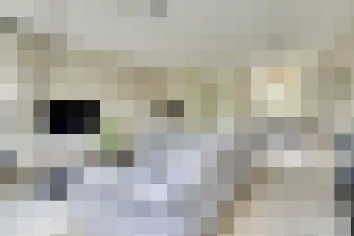 Klokjesbloemlaan 11 Vleuten thumbnail 14