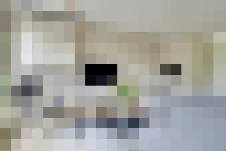 Klokjesbloemlaan 11 Vleuten thumbnail 15