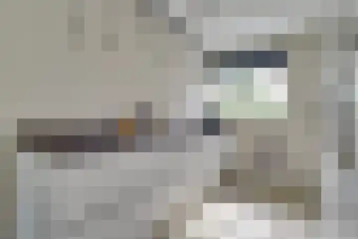 Klokjesbloemlaan 11 Vleuten thumbnail 18