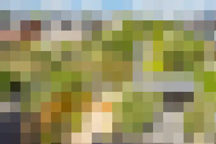 Klokjesbloemlaan 11 Vleuten thumbnail 32