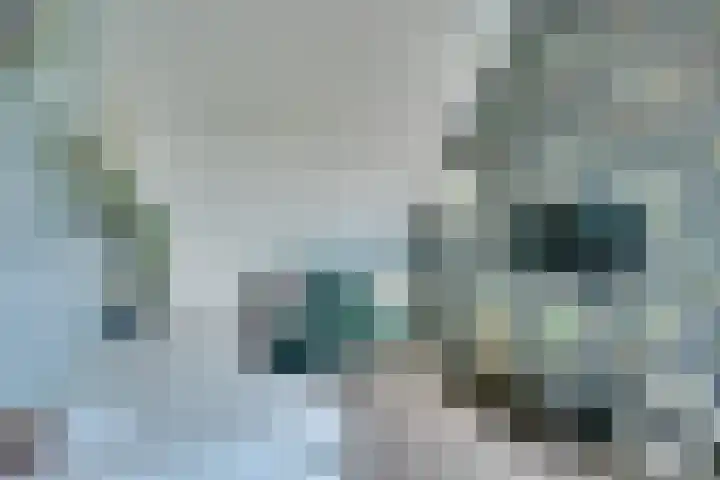 Klokjesbloemlaan 11 Vleuten thumbnail 36