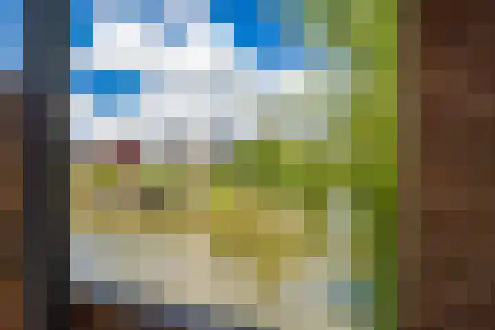 Klokjesbloemlaan 11 Vleuten thumbnail 41