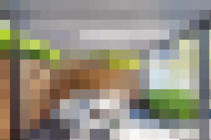 Klokjesbloemlaan 11 Vleuten thumbnail 42