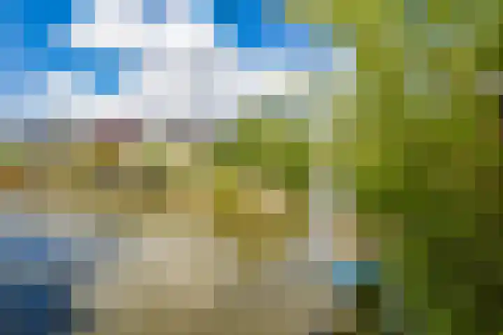 Klokjesbloemlaan 11 Vleuten thumbnail 45