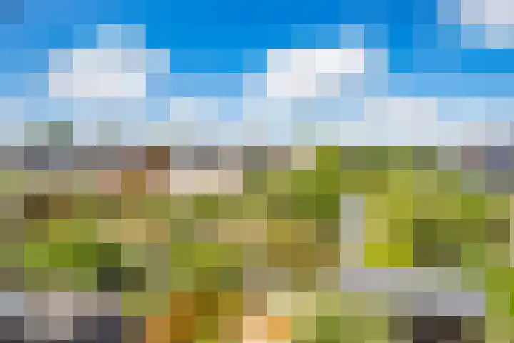 Klokjesbloemlaan 11 Vleuten thumbnail 46