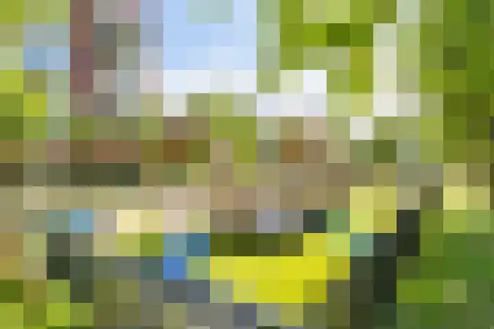 Klokjesbloemlaan 11 Vleuten thumbnail 48