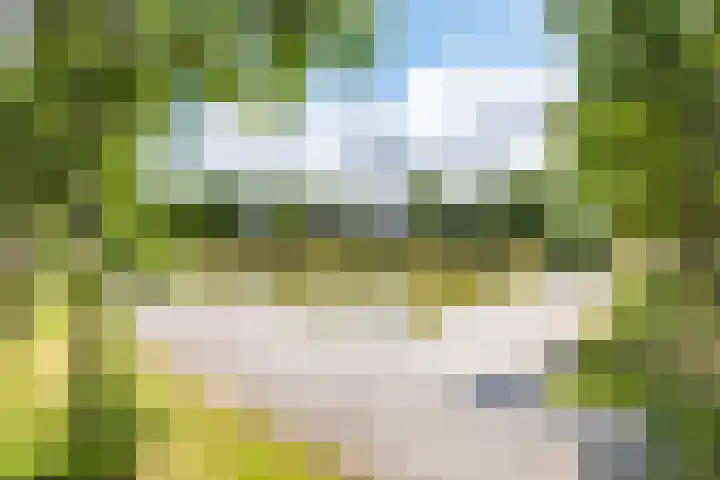 Klokjesbloemlaan 11 Vleuten thumbnail 49
