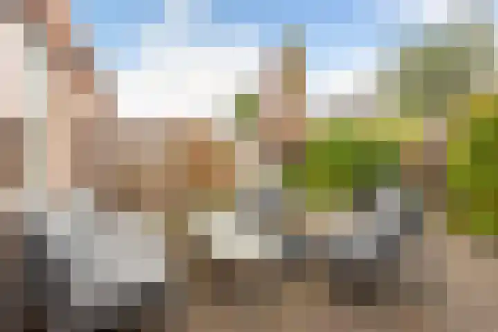 Klokjesbloemlaan 148 Vleuten thumbnail 13