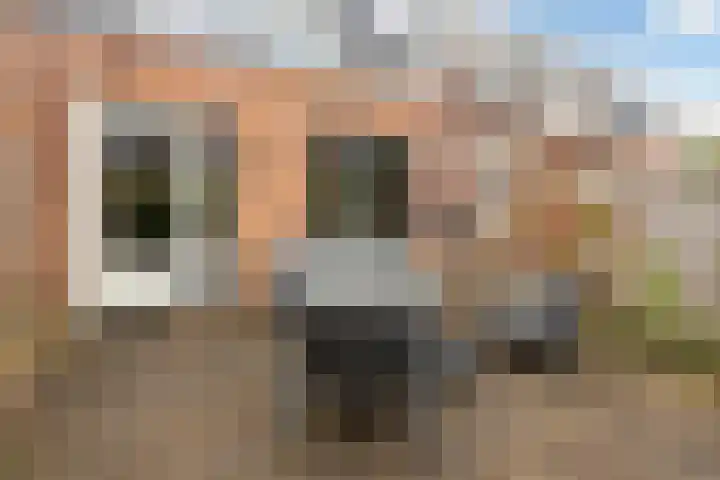 Klokjesbloemlaan 148 Vleuten thumbnail 15