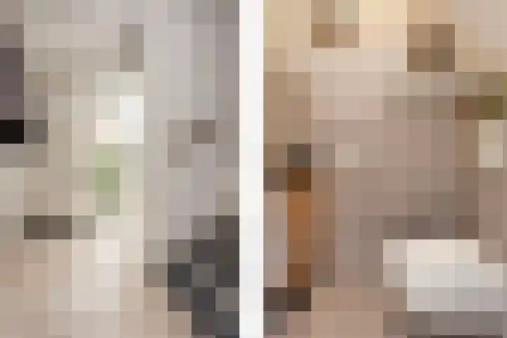 Klokjesbloemlaan 148 Vleuten thumbnail 18