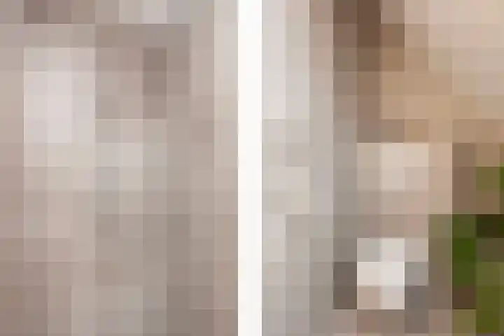 Klokjesbloemlaan 148 Vleuten thumbnail 28