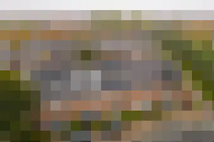 Klokjesbloemlaan 148 Vleuten thumbnail 39