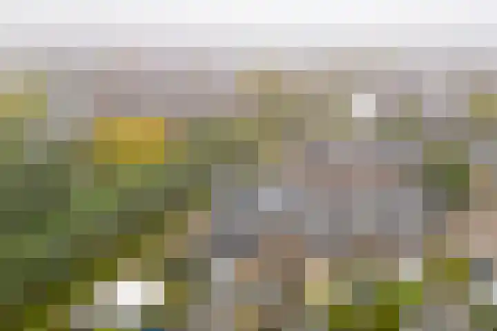 Klokjesbloemlaan 148 Vleuten thumbnail 40