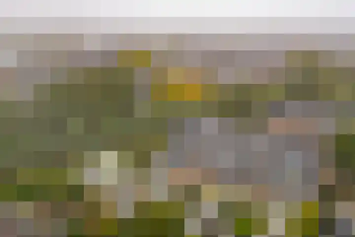 Klokjesbloemlaan 148 Vleuten thumbnail 41