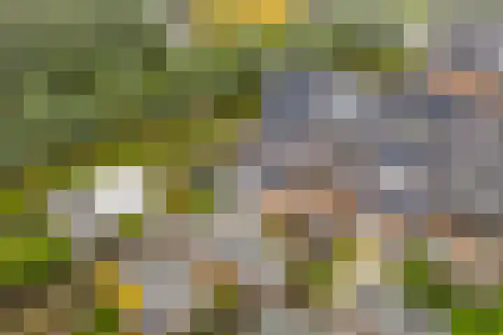 Klokjesbloemlaan 148 Vleuten thumbnail 42