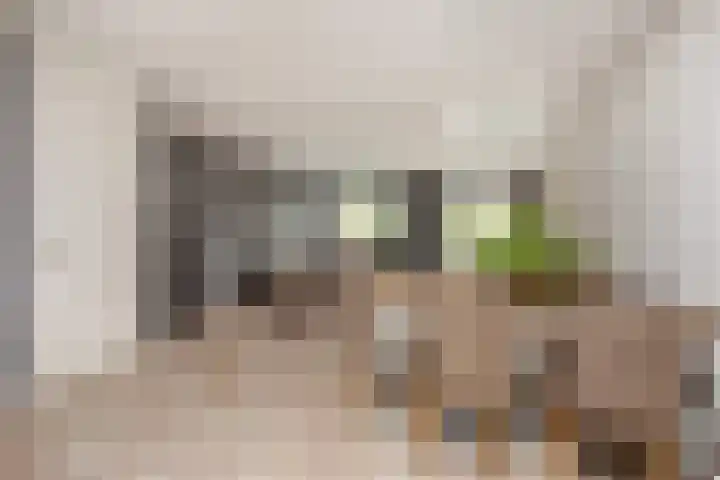 Klokjesbloemlaan 148 Vleuten thumbnail 5