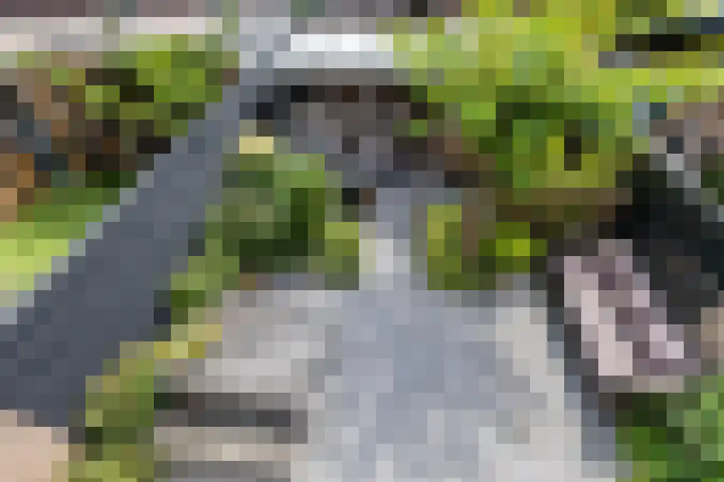 Klokjeslaan 56 Maarssen thumbnail 18