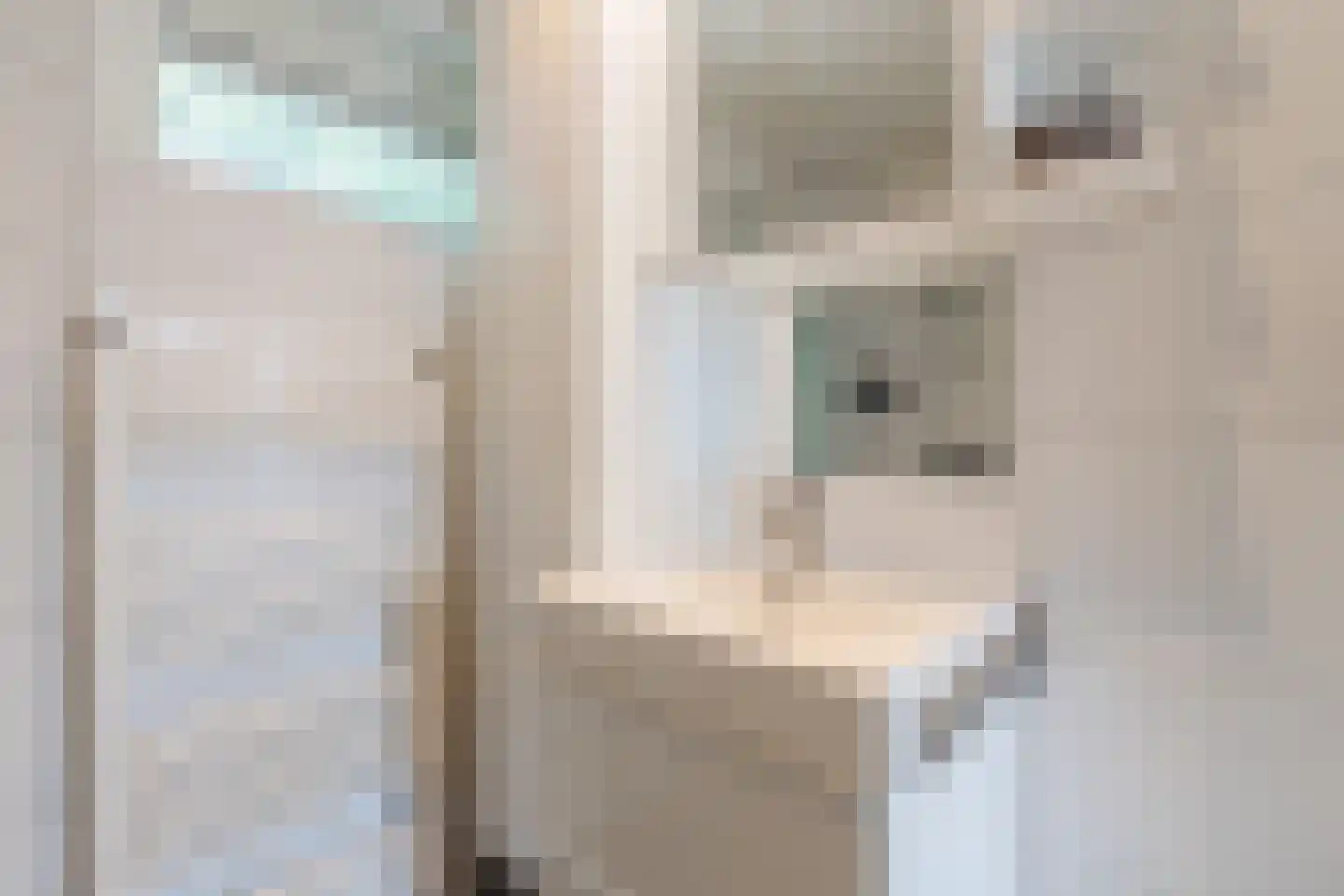 Klokjeslaan 56 Maarssen thumbnail 27