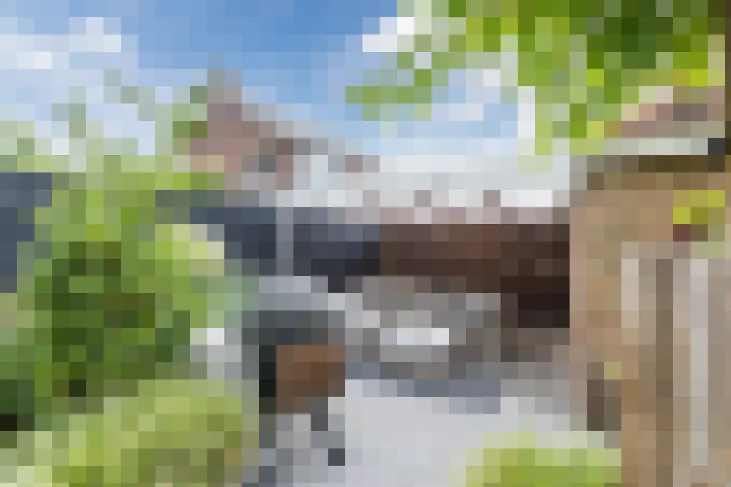 Klokjeslaan 56 Maarssen thumbnail 34