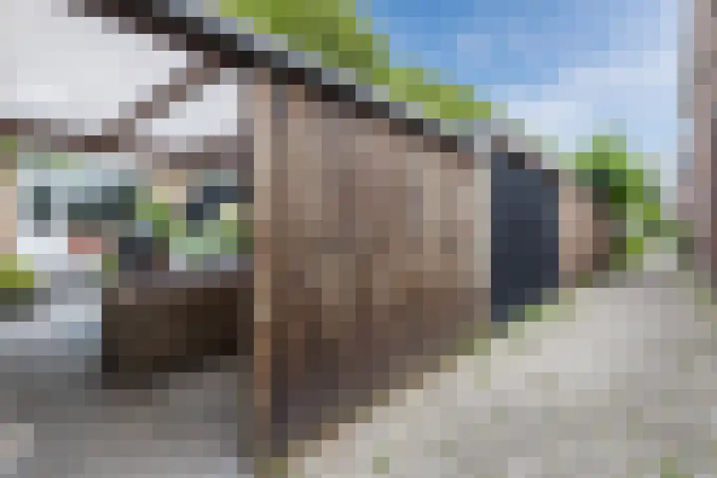 Klokjeslaan 56 Maarssen thumbnail 41