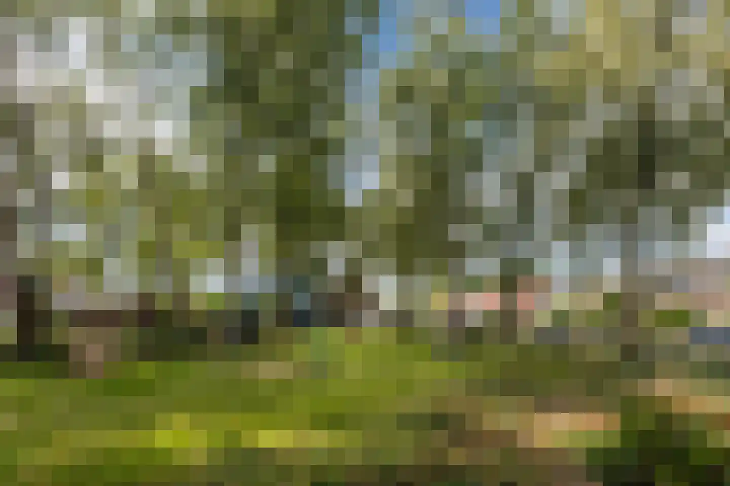 Klokjeslaan 56 Maarssen thumbnail 48