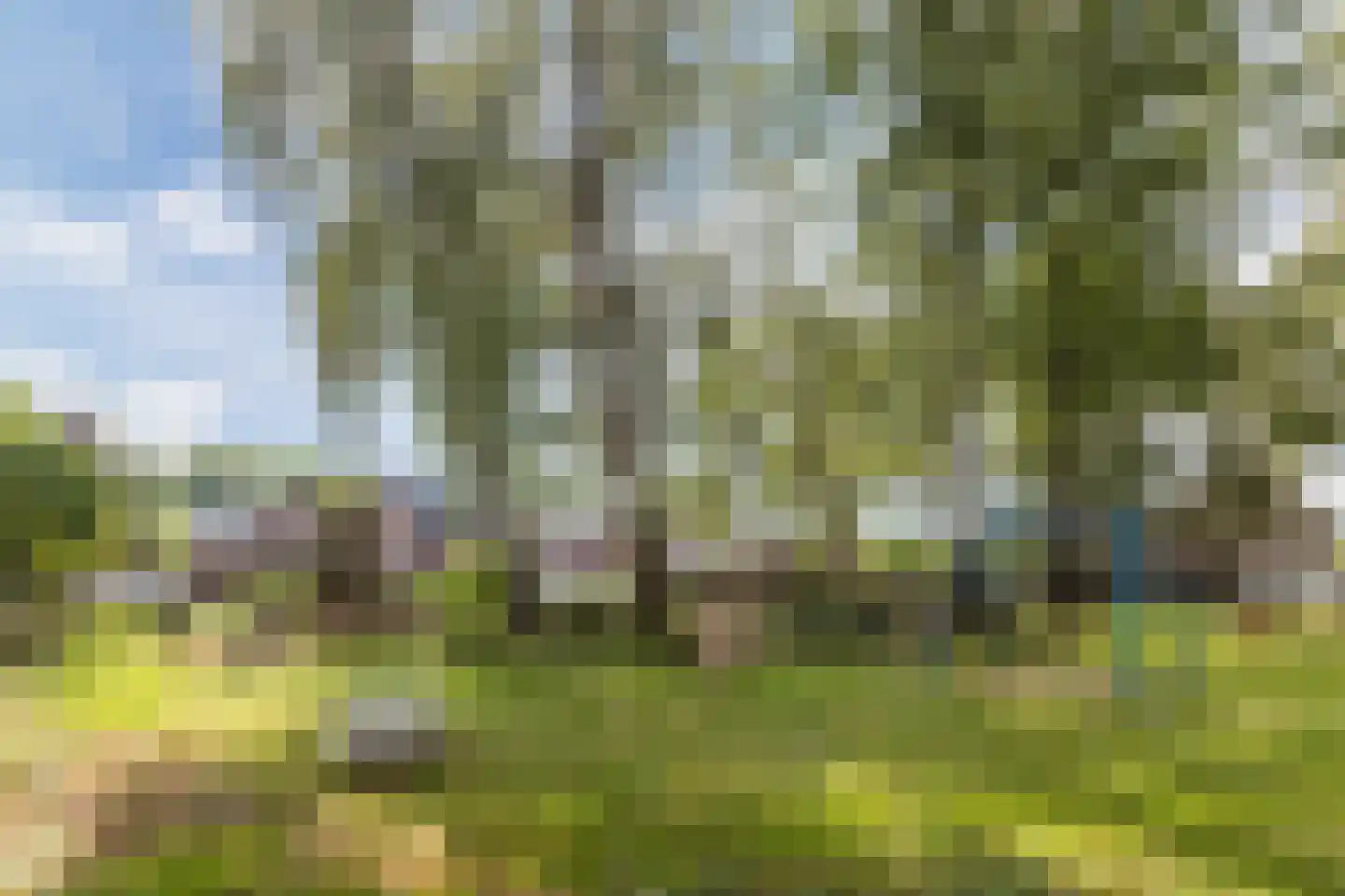 Klokjeslaan 56 Maarssen thumbnail 49