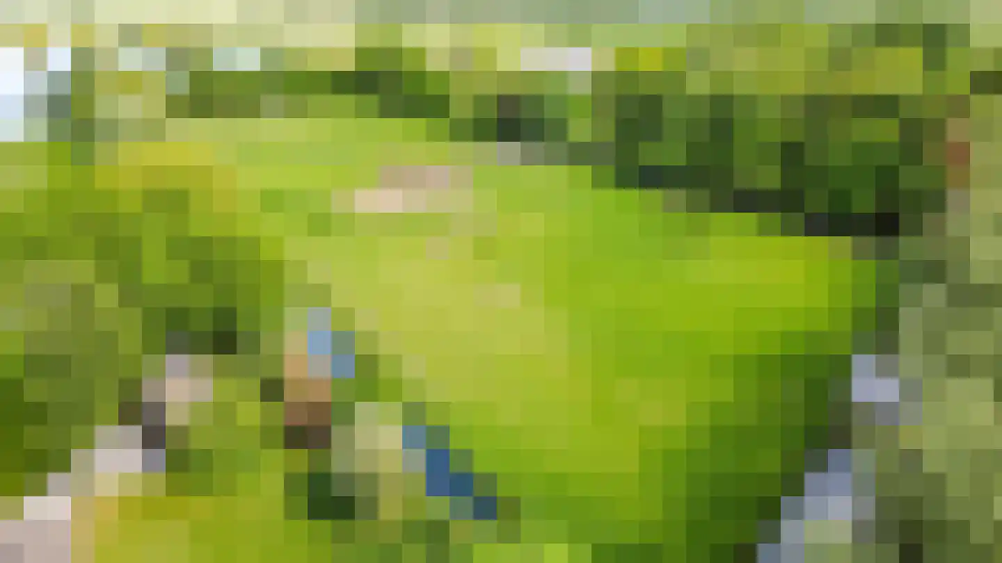 Klokjeslaan 82 Maarssen thumbnail 53