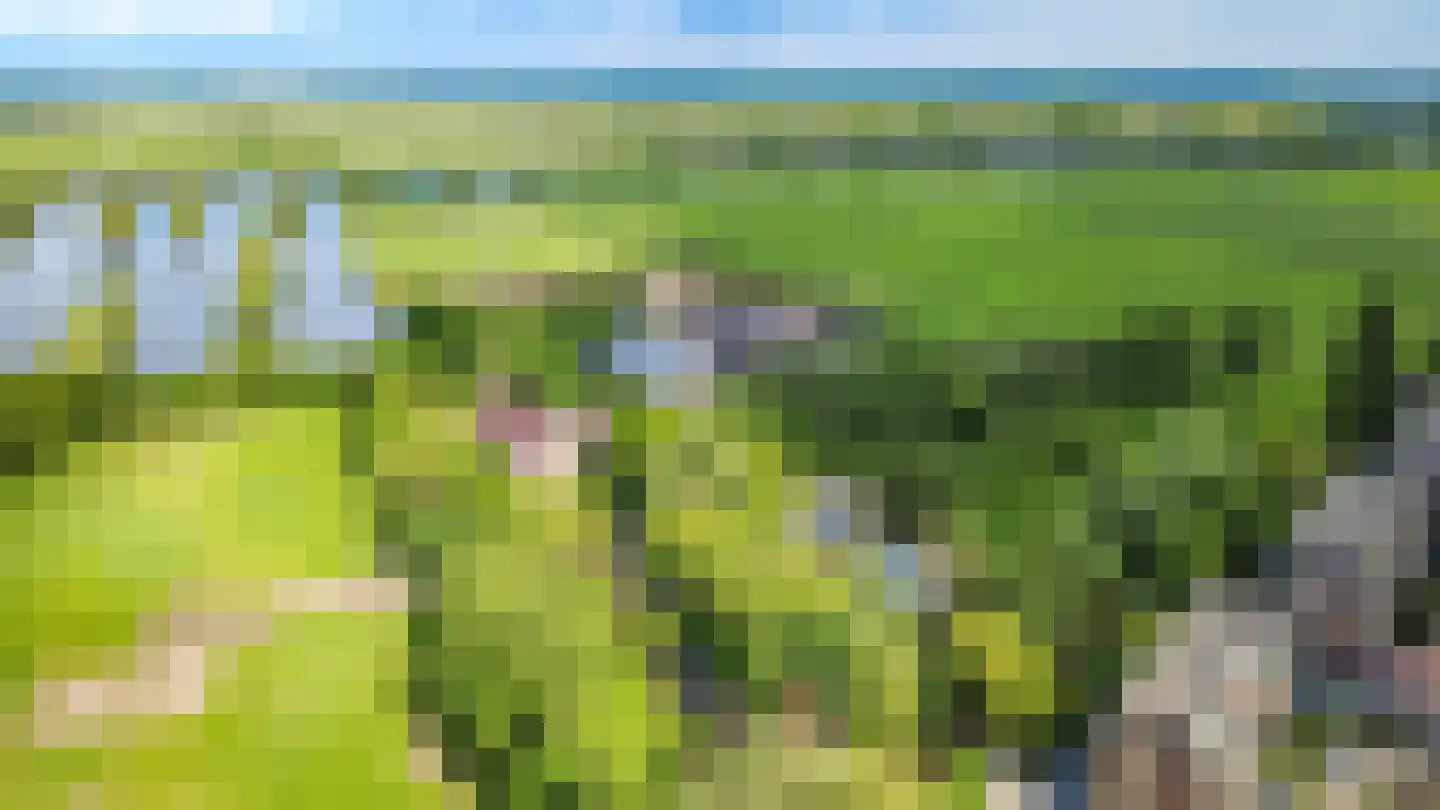 Klokjeslaan 82 Maarssen thumbnail 54