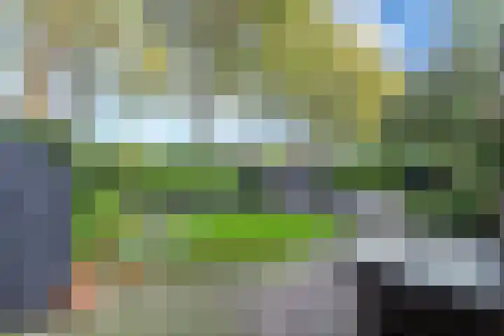 Klokjeslaan 84 Maarssen thumbnail 18