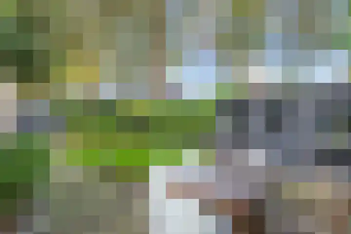 Klokjeslaan 84 Maarssen thumbnail 20