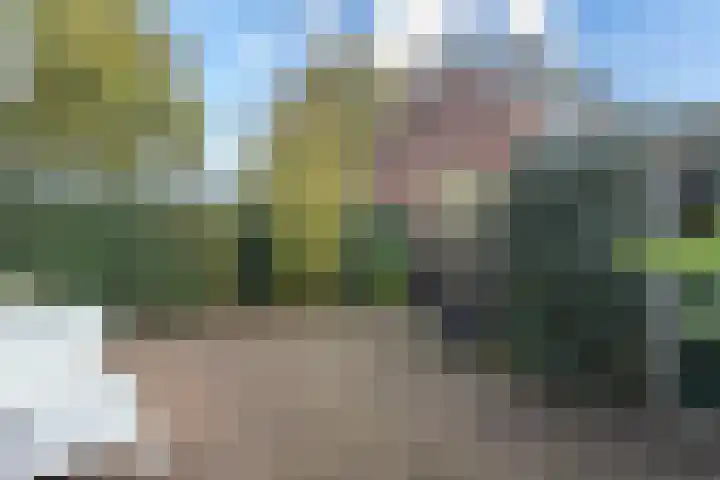 Klokjeslaan 84 Maarssen thumbnail 23