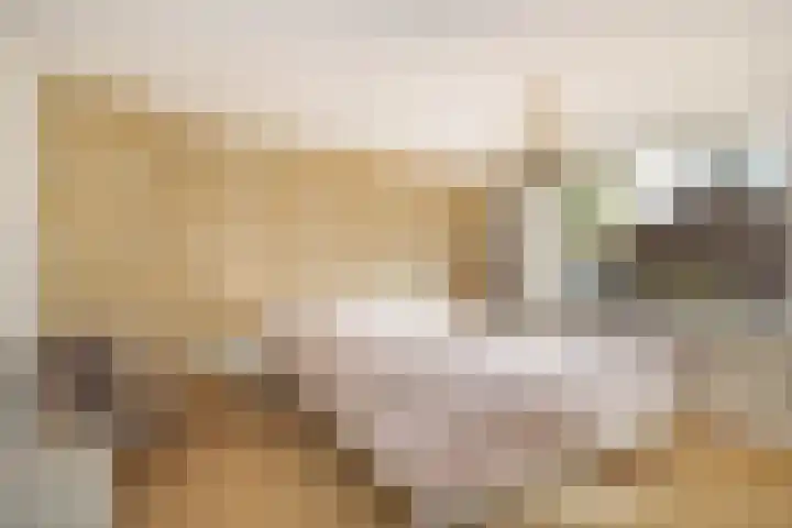 Klokjeslaan 84 Maarssen thumbnail 27